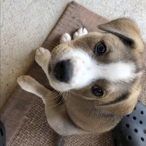 Meet your Posher, Jose